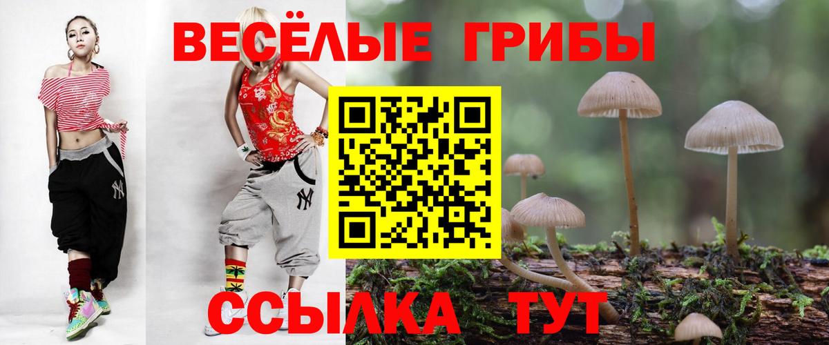 Псилоцибиновые грибы прущие грибы  Псилоцибиновые грибы GOLDEN TEACHER  как найти наркотики  Вход с VPN  Долгопрудный 